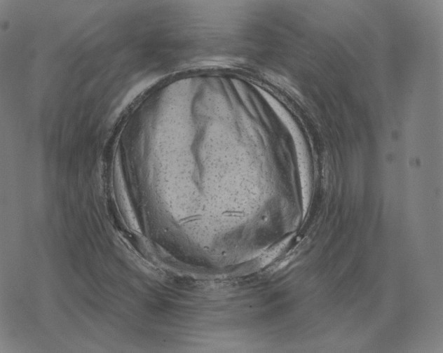 X0000076321404200610161632