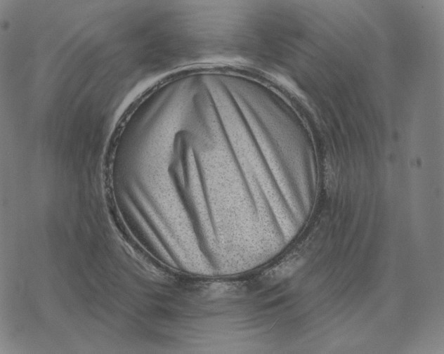 X0000076321412200610161632