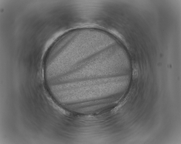 X0000076321414200610161632