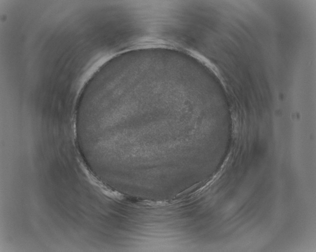 X0000076321415200610161632