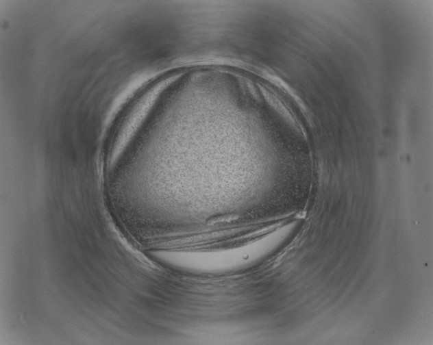 X0000076321416200610161632