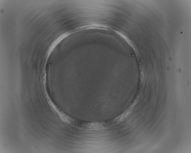 X0000076321418200610161632