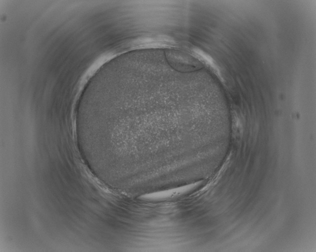 X0000076321419200610161632