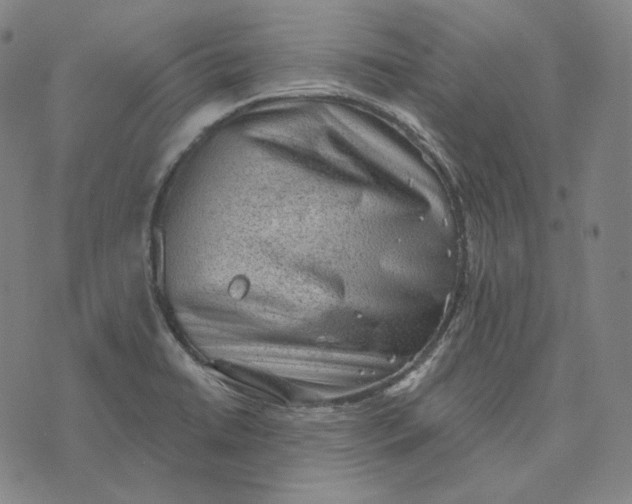 X0000076321422200610161632