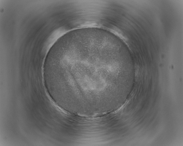 X0000076321423200610161632