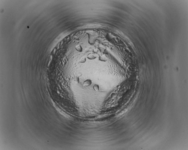 X0000076321425200610161632