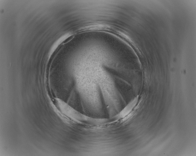 X0000076321426200610161632