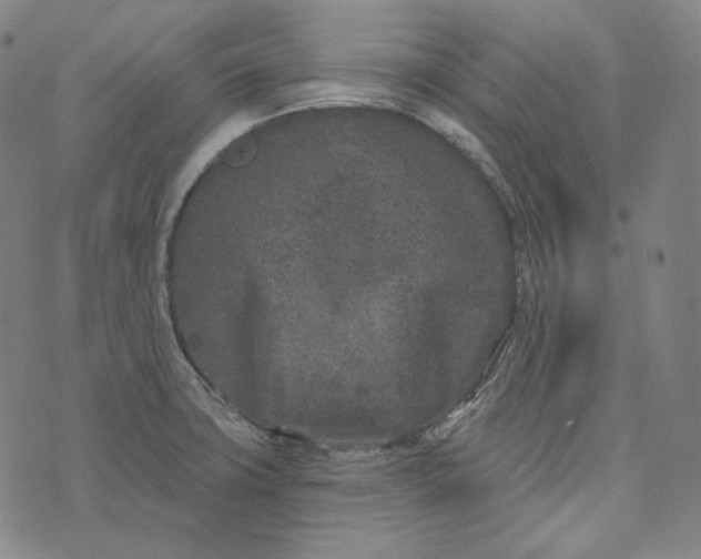 X0000076321427200610161632