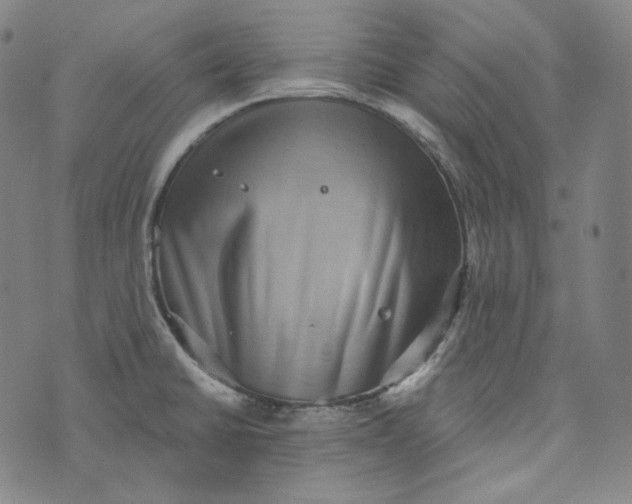 X0000076321430200610161632