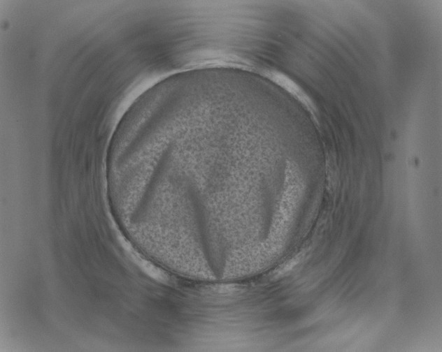 X0000076321431200610161632