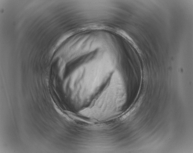 X0000076321433200610161632