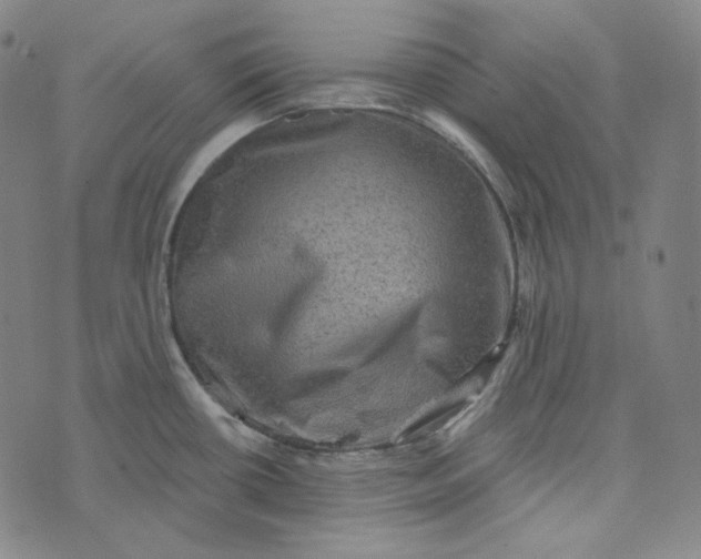 X0000076321434200610161633