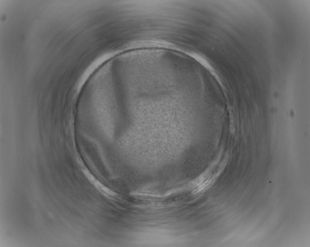 X0000076321438200610161633