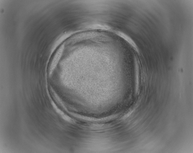 X0000076321439200610161633