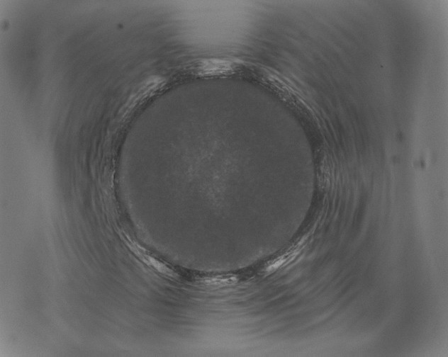 X0000076321441200610161632