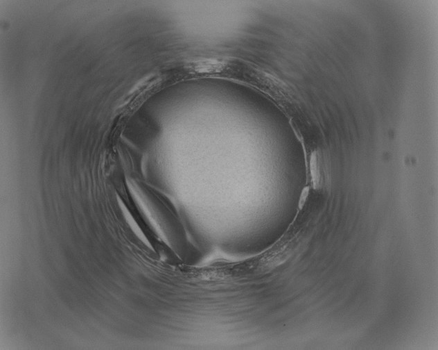 X0000076321443200610161632