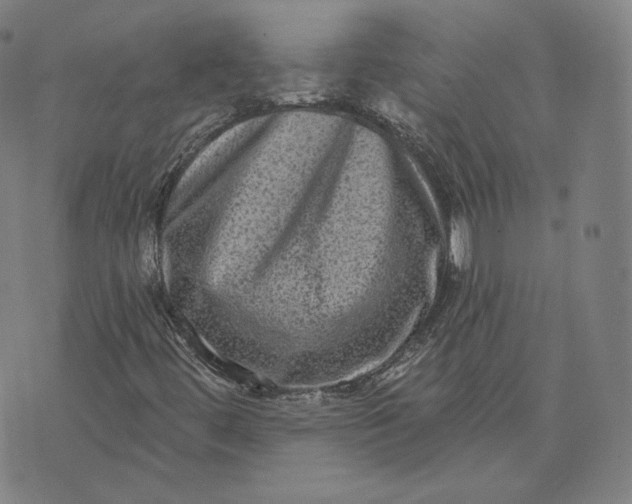 X0000076321444200610161632