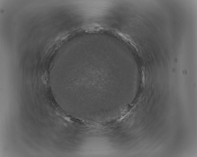 X0000076321445200610161632