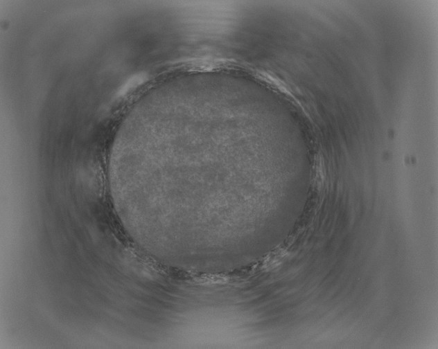 X0000076321446200610161632