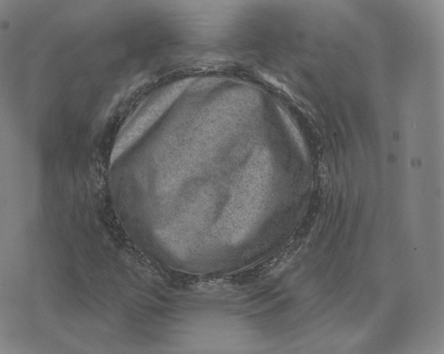 X0000076321447200610161632