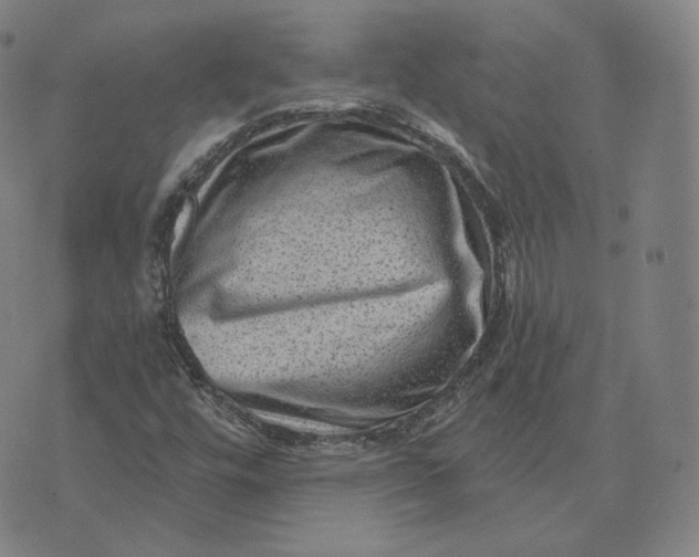 X0000076321448200610161632