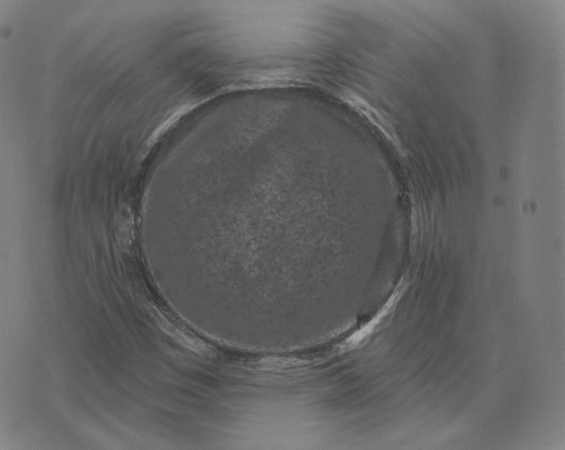 X0000076321449200610161632