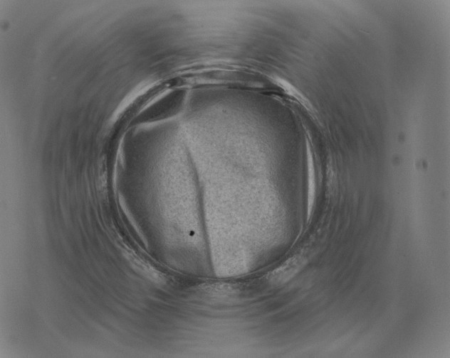 X0000076321450200610161632