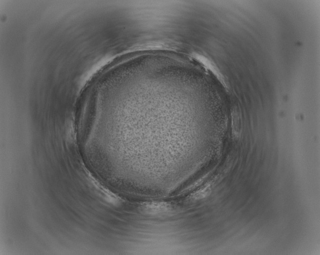 X0000076321452200610161632