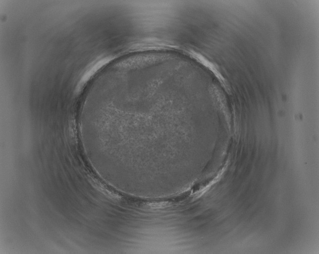 X0000076321453200610161632