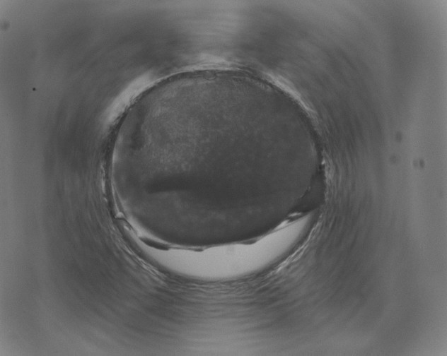 X0000076321455200610161632