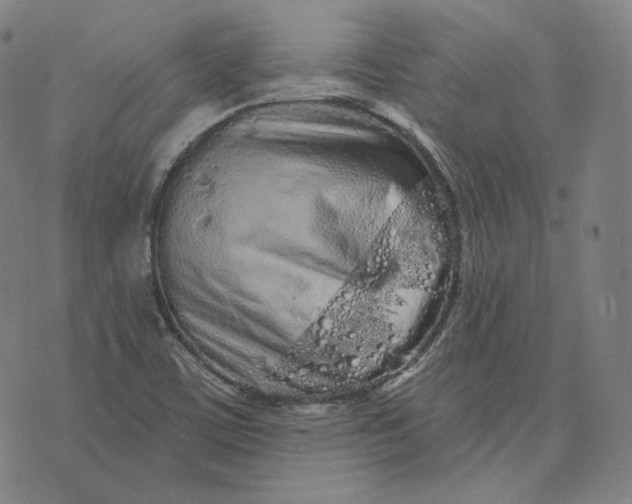 X0000076321459200610161632