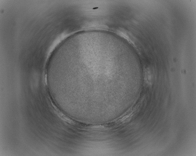 X0000076321462200610161631