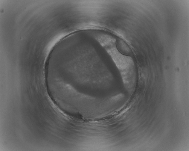 X0000076321463200610161631