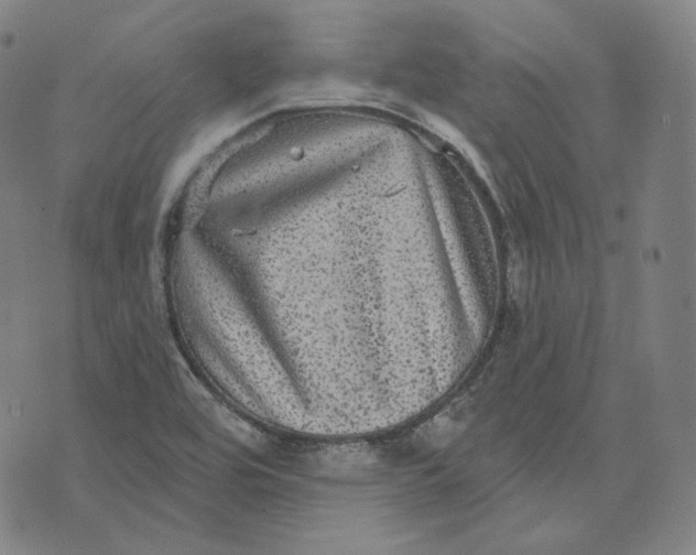 X0000076321464200610161631