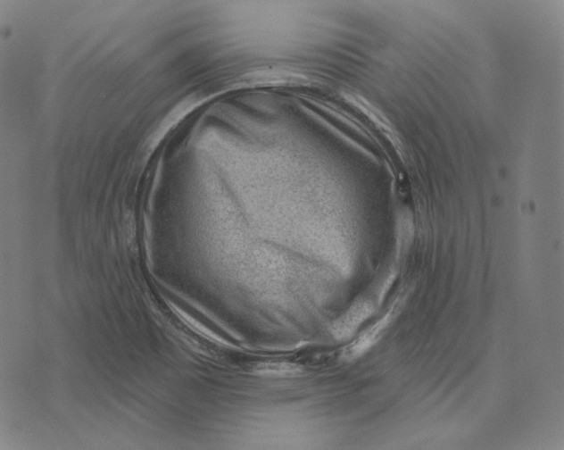 X0000076321465200610161631