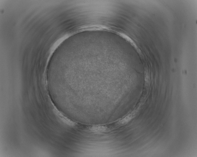 X0000076321466200610161631