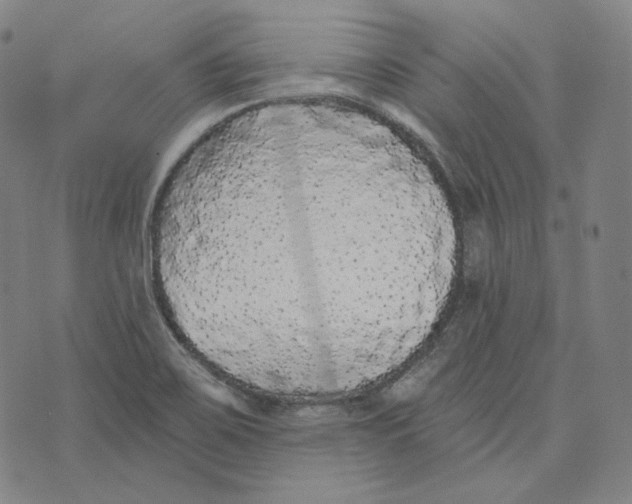 X0000076321467200610161631