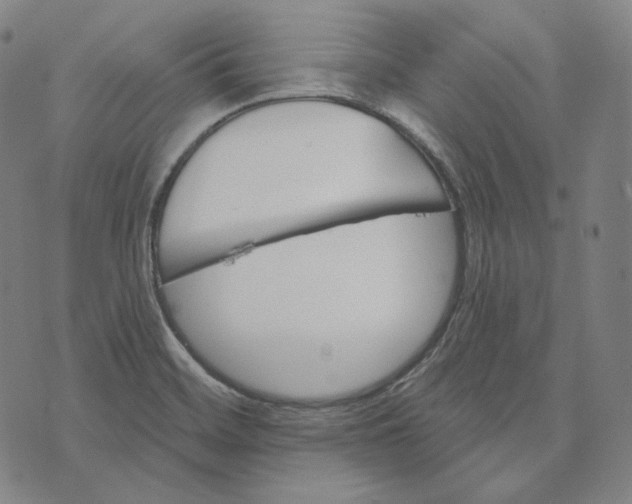 X0000076321468200610161631