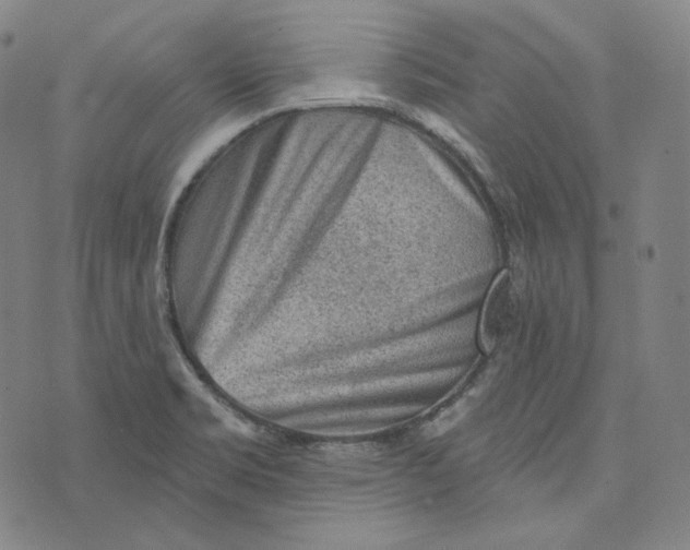 X0000076321469200610161631