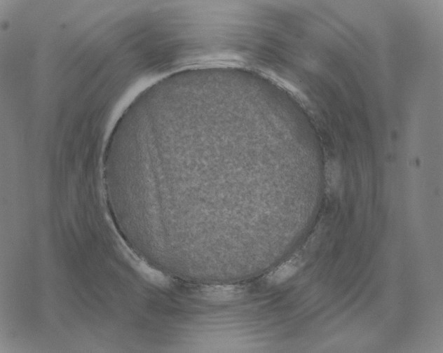 X0000076321470200610161631