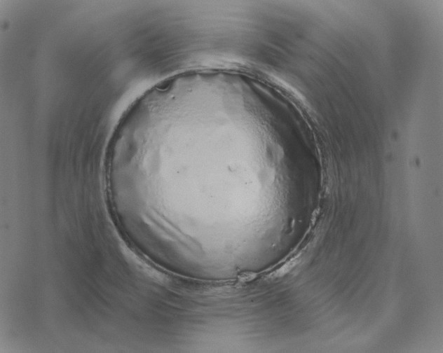 X0000076321471200610161631