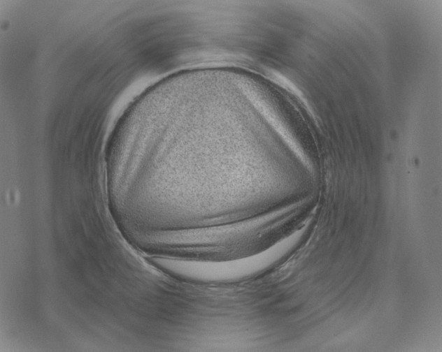 X0000076321472200610161631