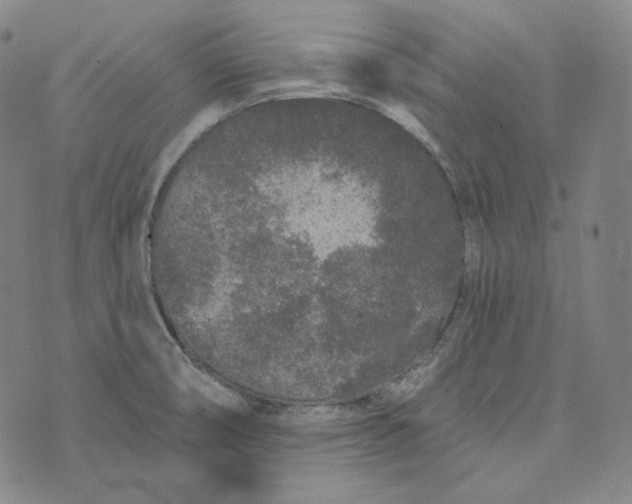 X0000076321474200610161631