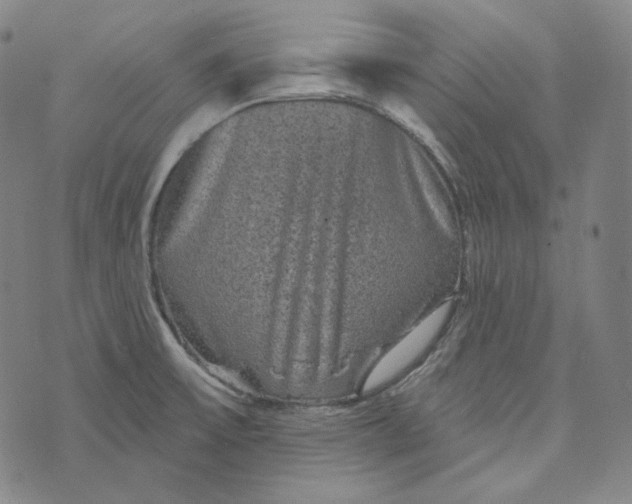 X0000076321475200610161631