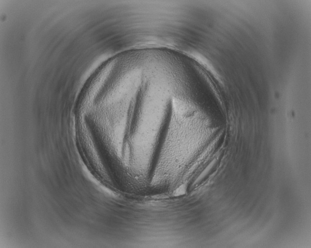 X0000076321476200610161631