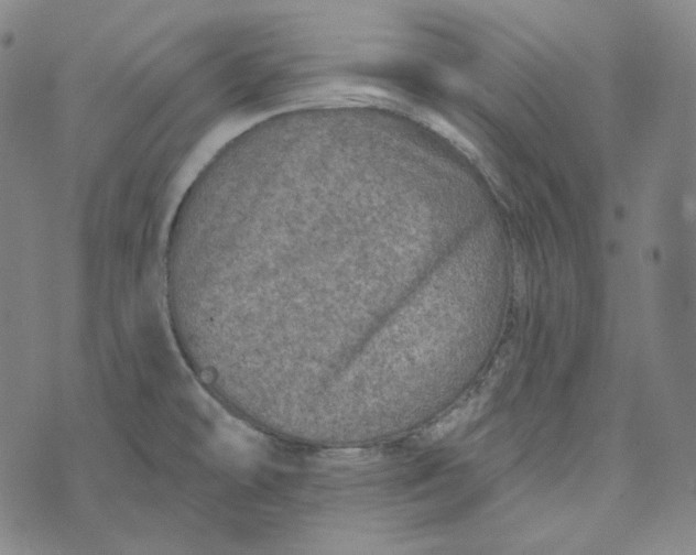 X0000076321478200610161631