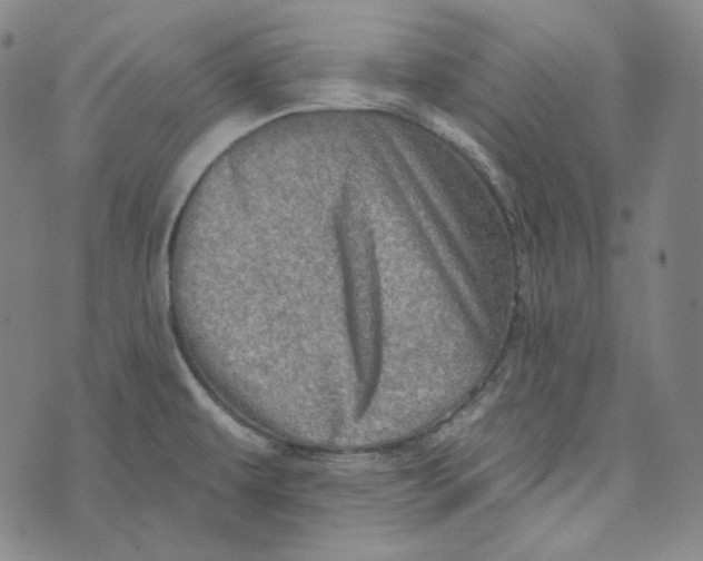 X0000076321479200610161631