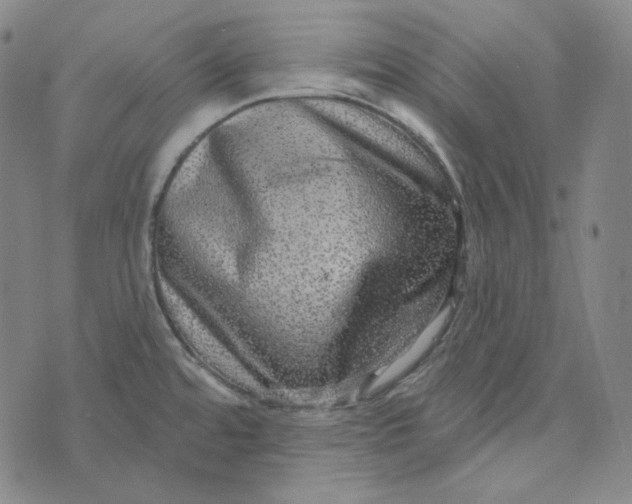 X0000076321480200610161631