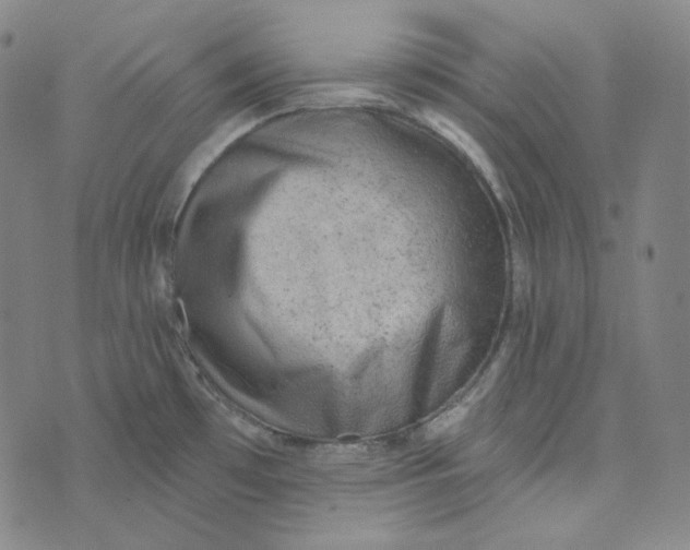 X0000076321481200610161631