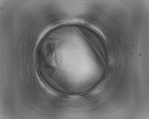 X0000076321483200610161631